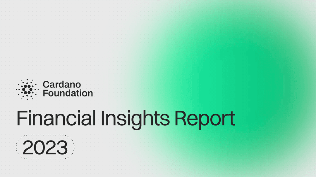 Financial Insights Report 2023