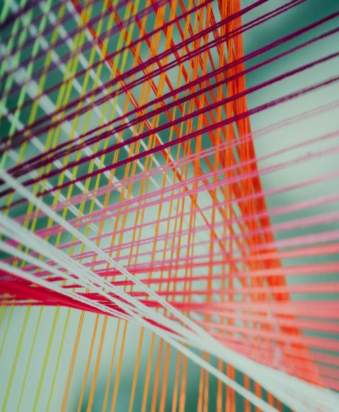 An image of interconnected webs.